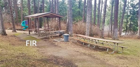 Kamiak Butte County Park Fir Shelter