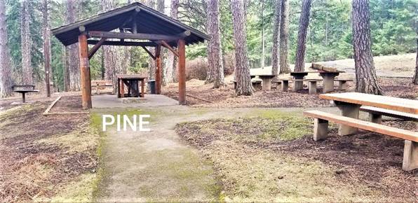 Kamiak Butte County Park Pine Shelter